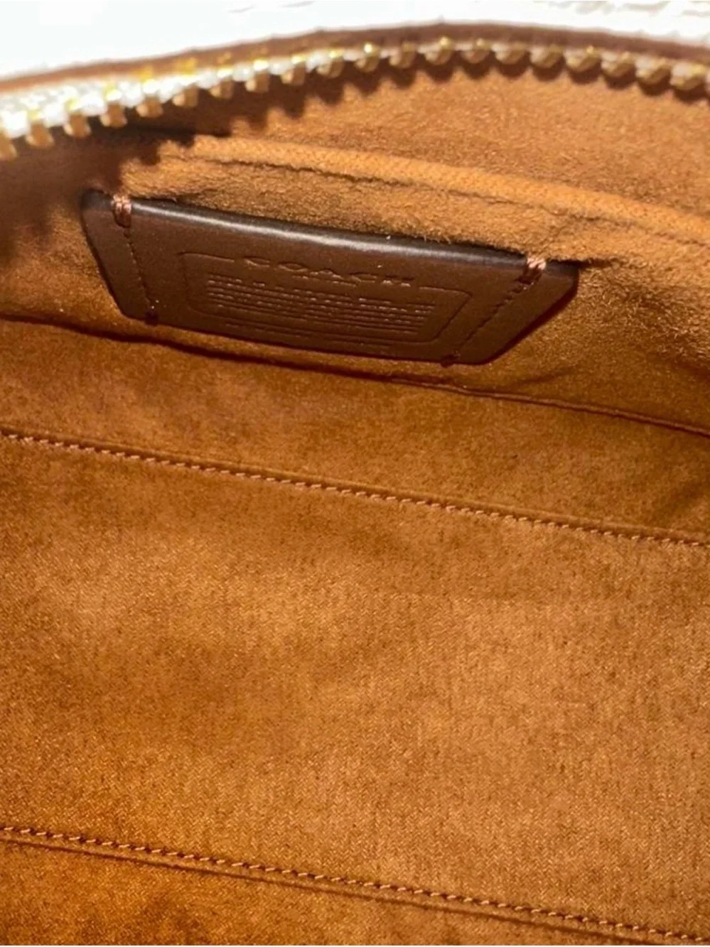 Coach Croc-Embossed Satchel in Light Taupe